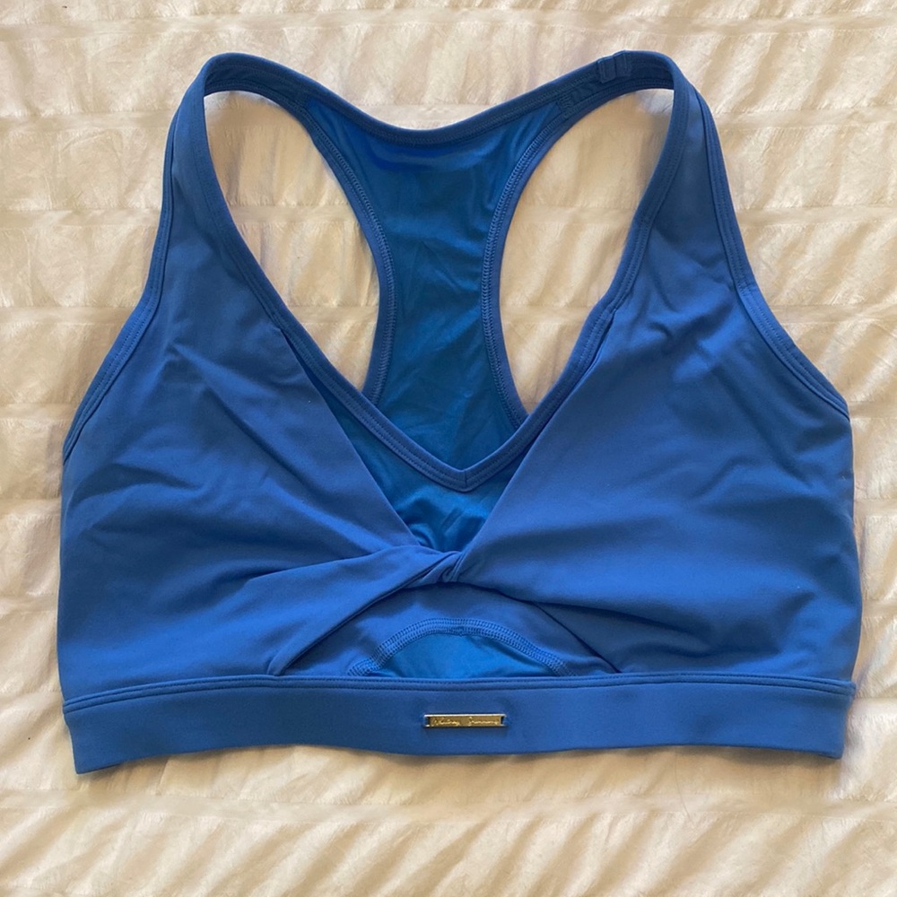 Whitney Simmons Mesh bra